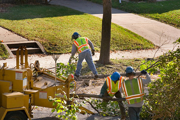 Trusted Campbellsburg, KY  Tree Services Experts